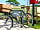 Higher Moor Farm Campsite: Welcome to the farm