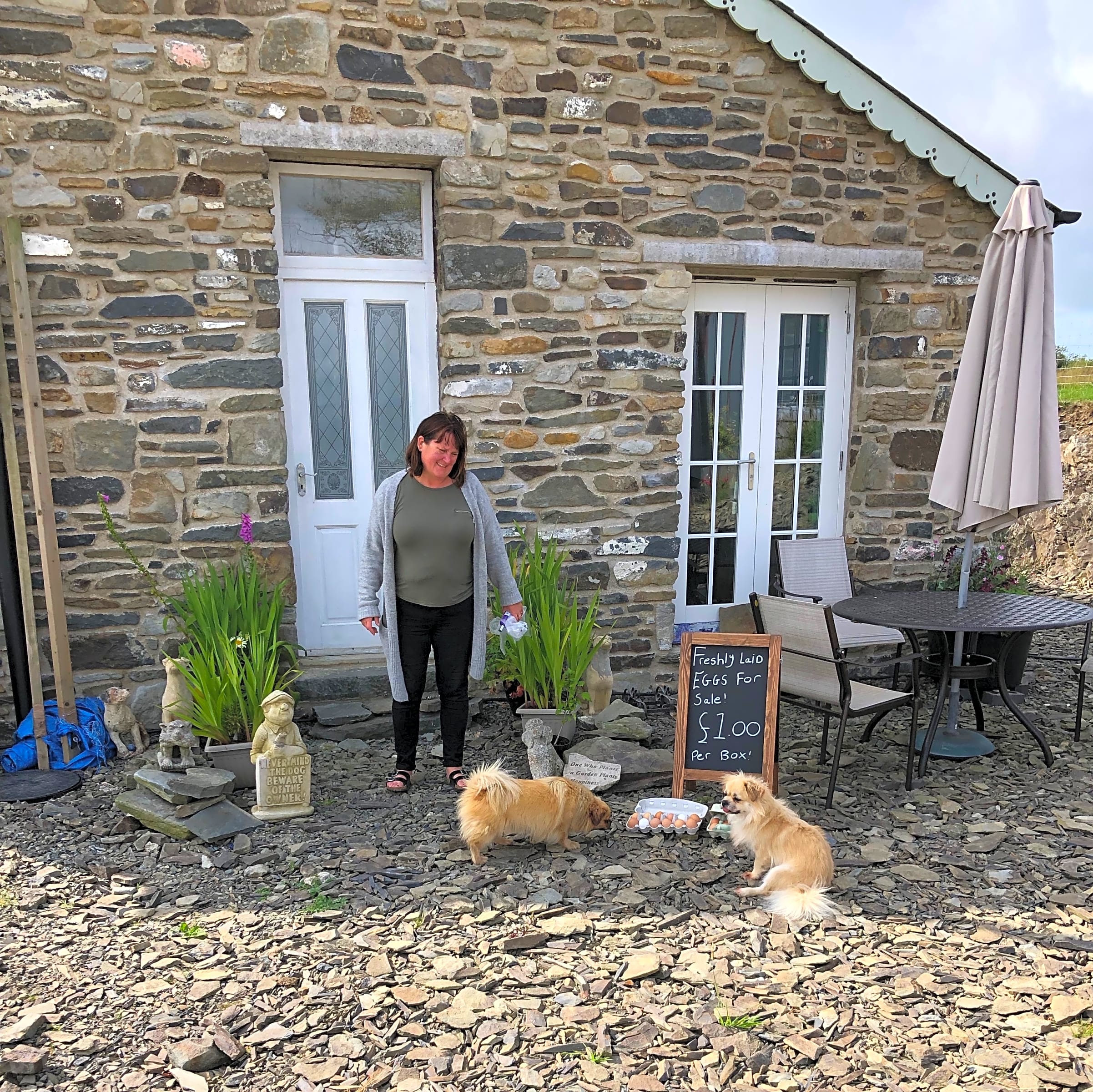 Ffynnonwen Farm Wild Camping, Aberystwyth Updated 2020 prices Pitchup®