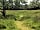 Pithead Campsite: Surround yourselves with nature (photo added by manager)