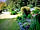 Henllan Caravan Park