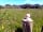 Trefewha Farm: meadow view