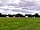 Pilsdon View Camping: Yurts