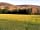 Wye Tipi Camping: Family camping area, Forest of Dean in background