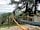 The Teasel Yurts: Hammock (photo added by  on 14/06/2021)