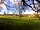 James Caravan Park