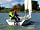 Bosworth Lakeside Lodges: Sailing