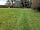 Blakes Keiro Caravan Site: Dogs can run around in the paddock