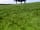 Pendle Prospects Wild Camping: Spacious pitches