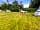 The Blue Ship: Dog friendly, excellent walks (photo added by john_m174974 on 03/07/2022)