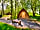 Loch Tay Highland Lodges