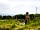 Tencreek Holiday Park: Enjoying the sunshine 