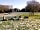 Bovey's Down Farm (photo ajoutée par le gestionnaire le 30 mai 2017)