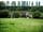 North Down Orchard: The farmhouse with the camping field in front (photo added by manager on 17/08/2021)