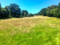 The hay field The hay field