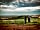 Ashcombe Woodland Campsite: View from site