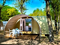 Coco Sweet pre-erected tent Coco Sweet pre-erected tent