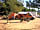 Camping Sopalmo