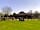 The Cob House Countryside Park (фото добавлено менеджером 19.05.2022)