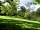 Constable Burton Hall Caravan Park: Mature parkland setting
