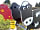 Haw Wood Caravan Park: Two of our friends in the new playground