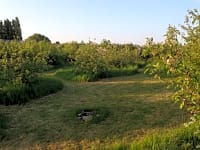 A grass camping pitch with firepit A grass camping pitch with firepit