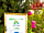New Farm Cheshire Holidays: 9.9/10 thank you...