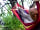 Camp Pod Ostrog: Relax in a hammock