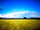 Gramp's Field: Plenty of space on even ground.