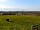 Sunnyhill Park and Campsite: Yurts (photo added by manager on 07/04/2022)