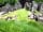 Reforge Retreat: okehampton castle