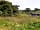 Manor Farm: Part of a working farm