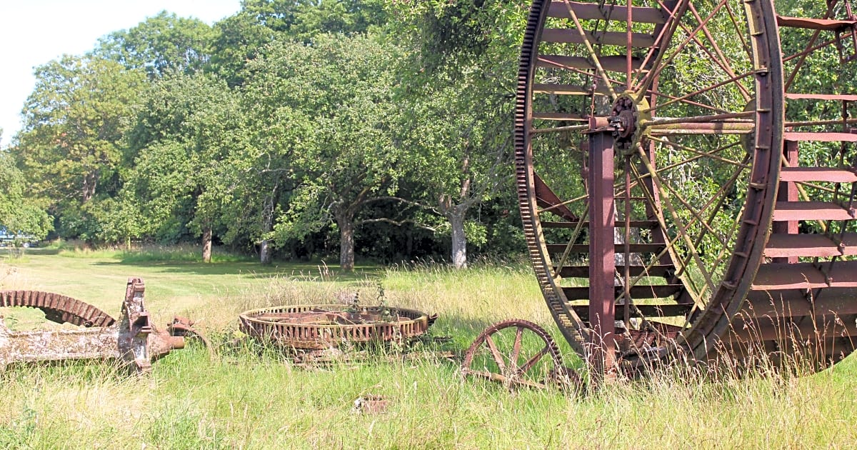 Bredy Farm, Bridport Updated 2021 prices Pitchup®