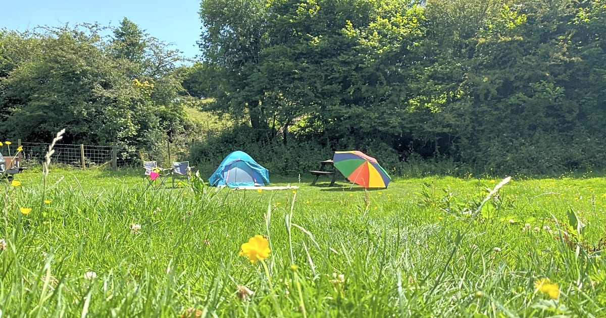 Ty Du Farm, Llanelli Updated 2021 prices Pitchup®