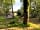 Meadow Tree Farm: Woodland pitch
