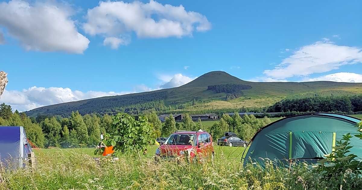 Pillars of Hercules Organic Farm, Cupar Updated 2024 prices