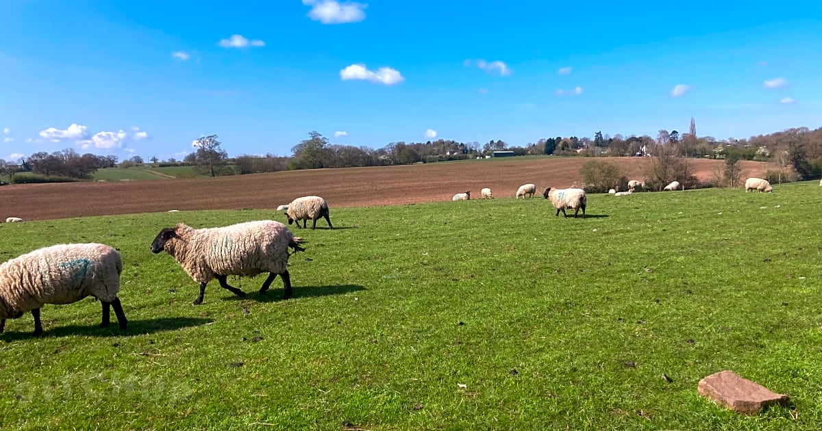 Greenacres Farm Campsite, Eccleshall Pitchup®