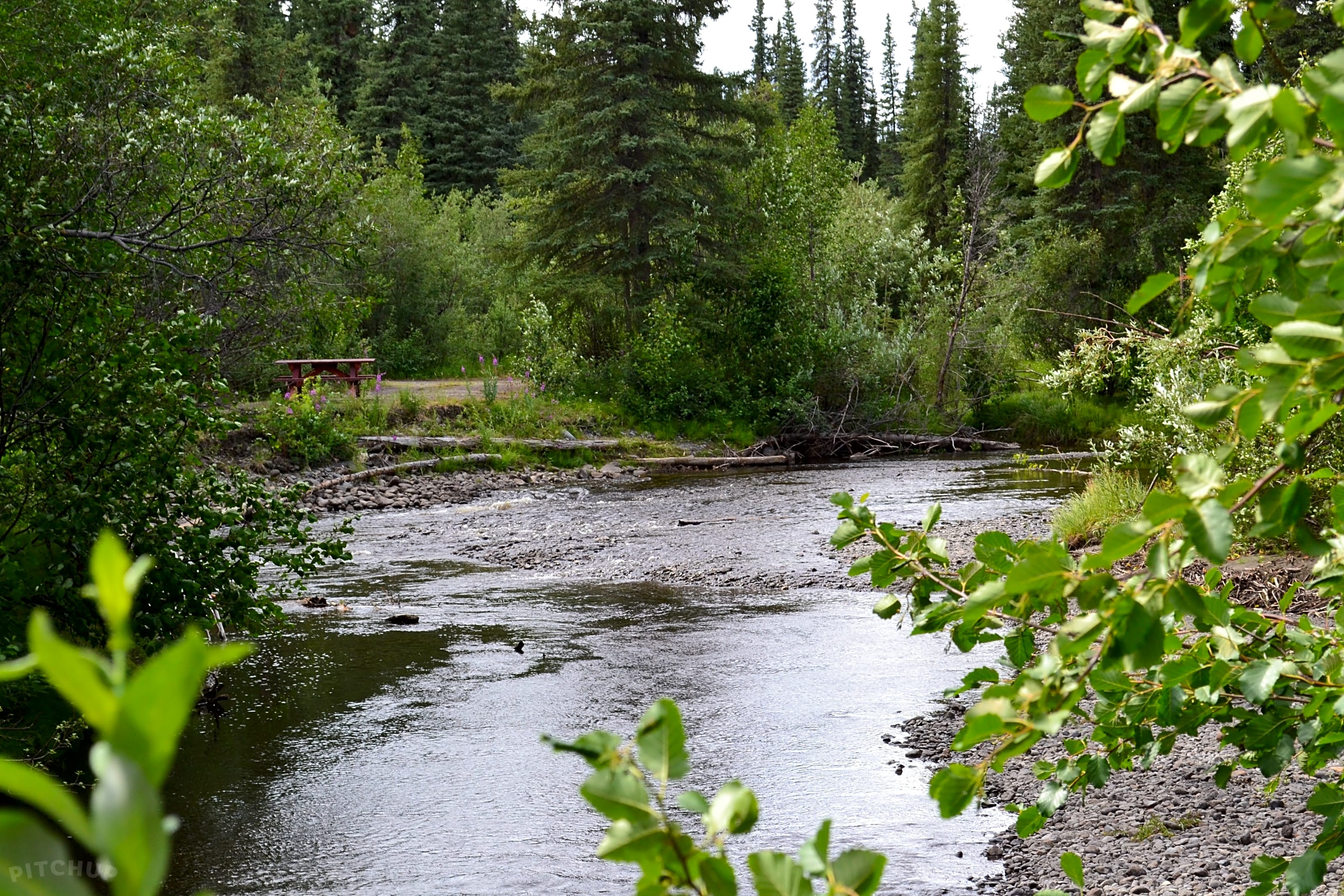 Escape to Nature's Embrace: Your Guide to Tolsona Wilderness Campground