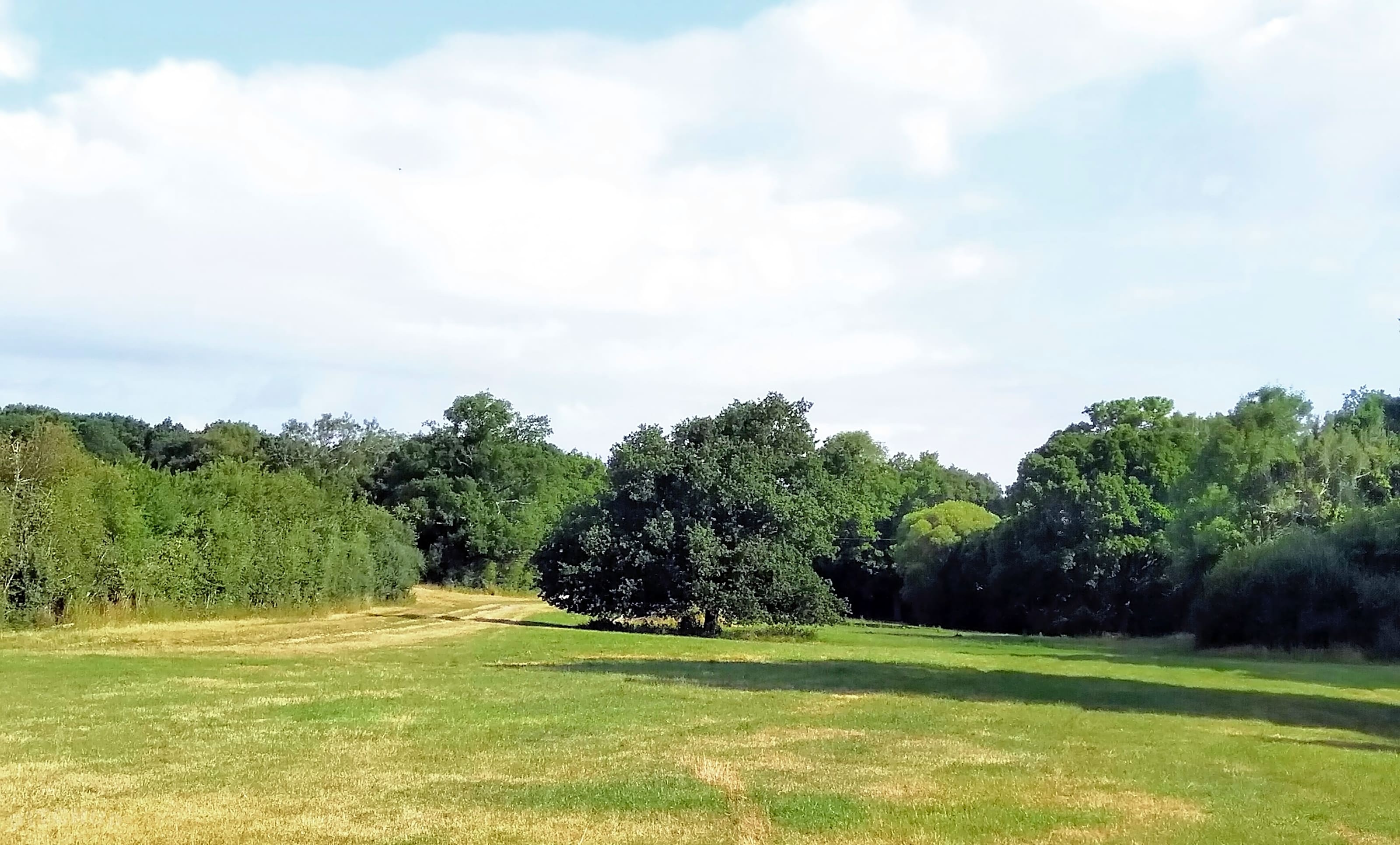 Maplehurst Farm, Maplehurst, West Sussex