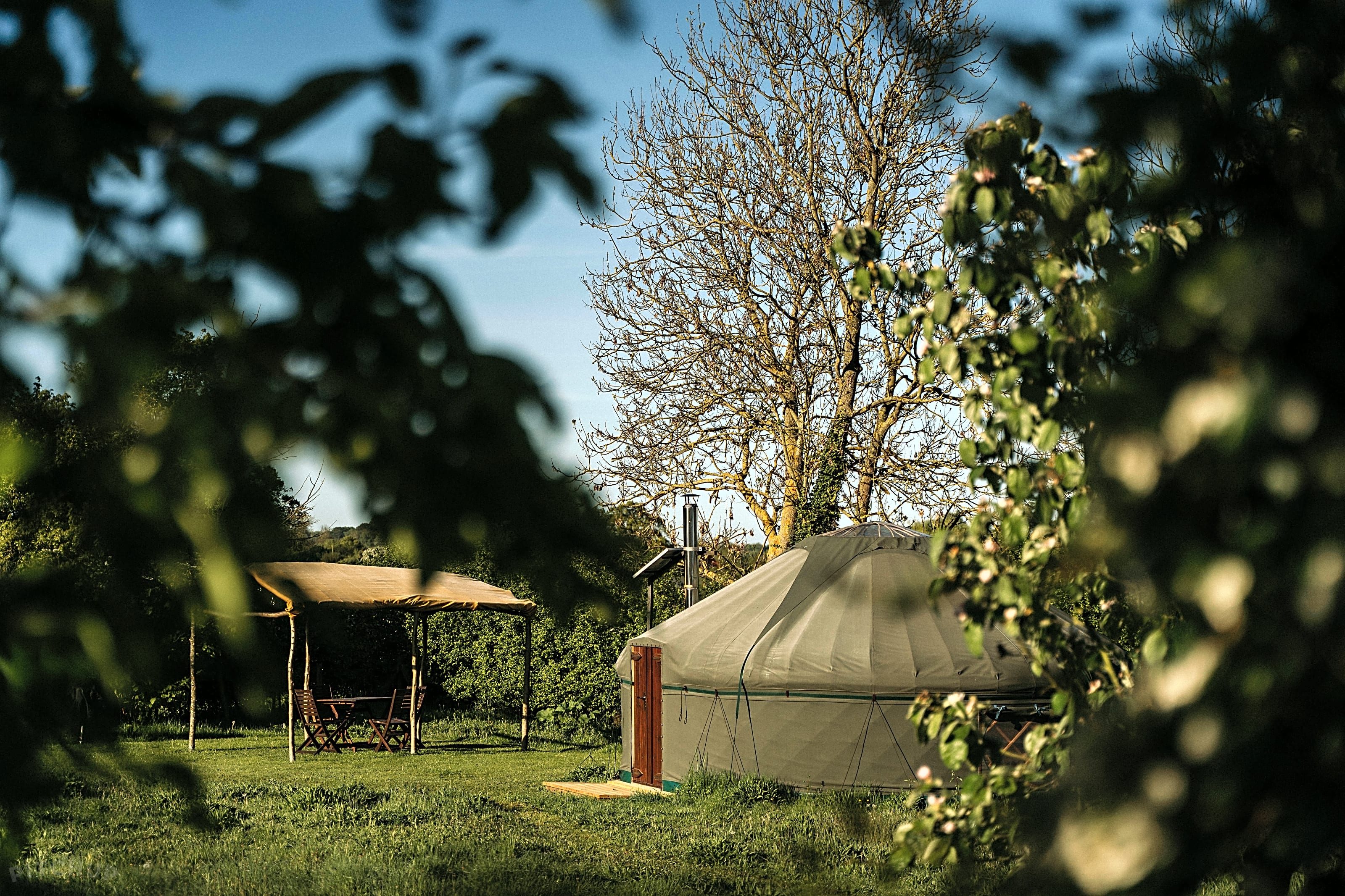 Suffolk Yurt Holidays Woodbridge Suffolk Pitchup