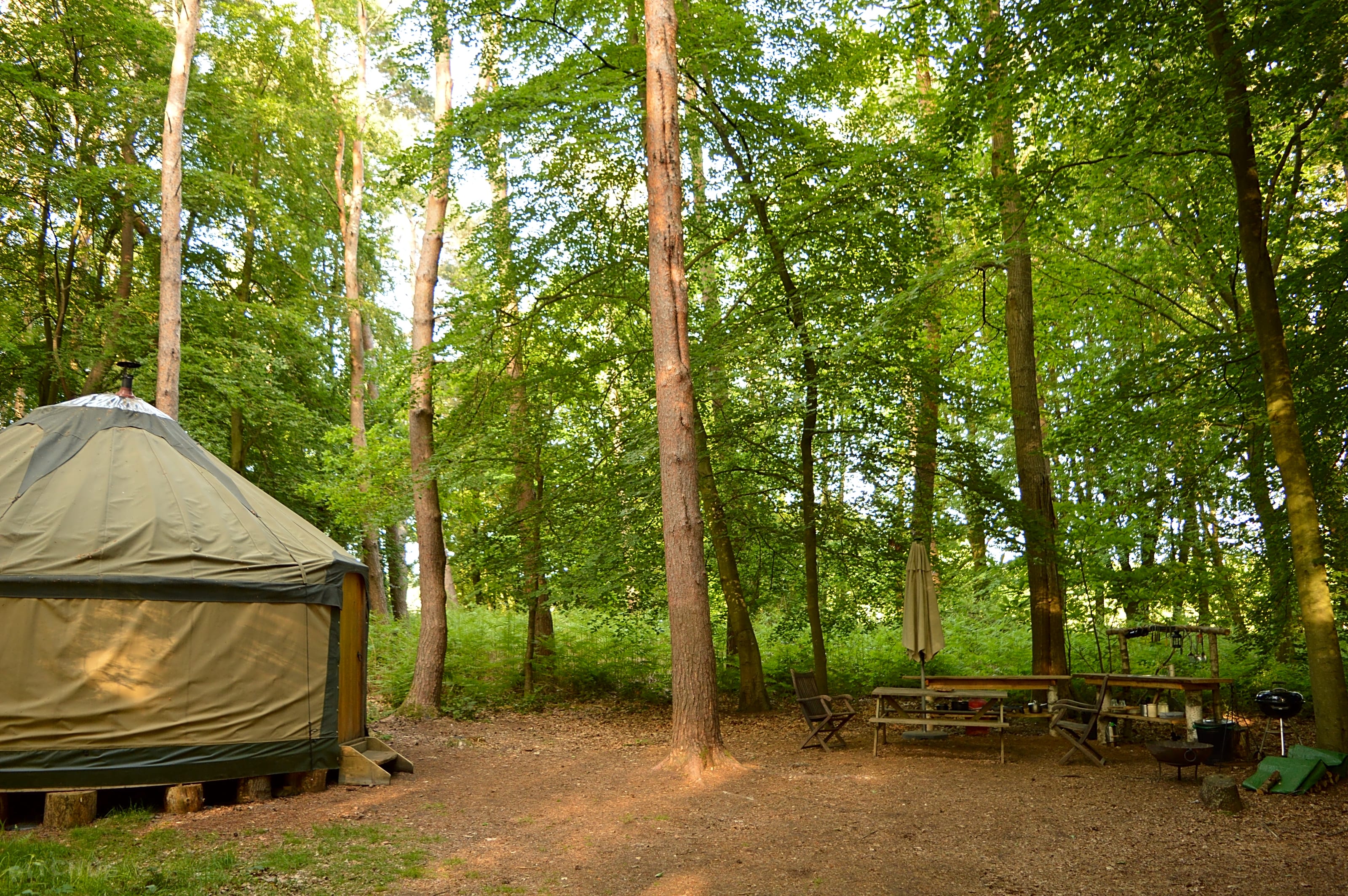 Adhurst yurts online
