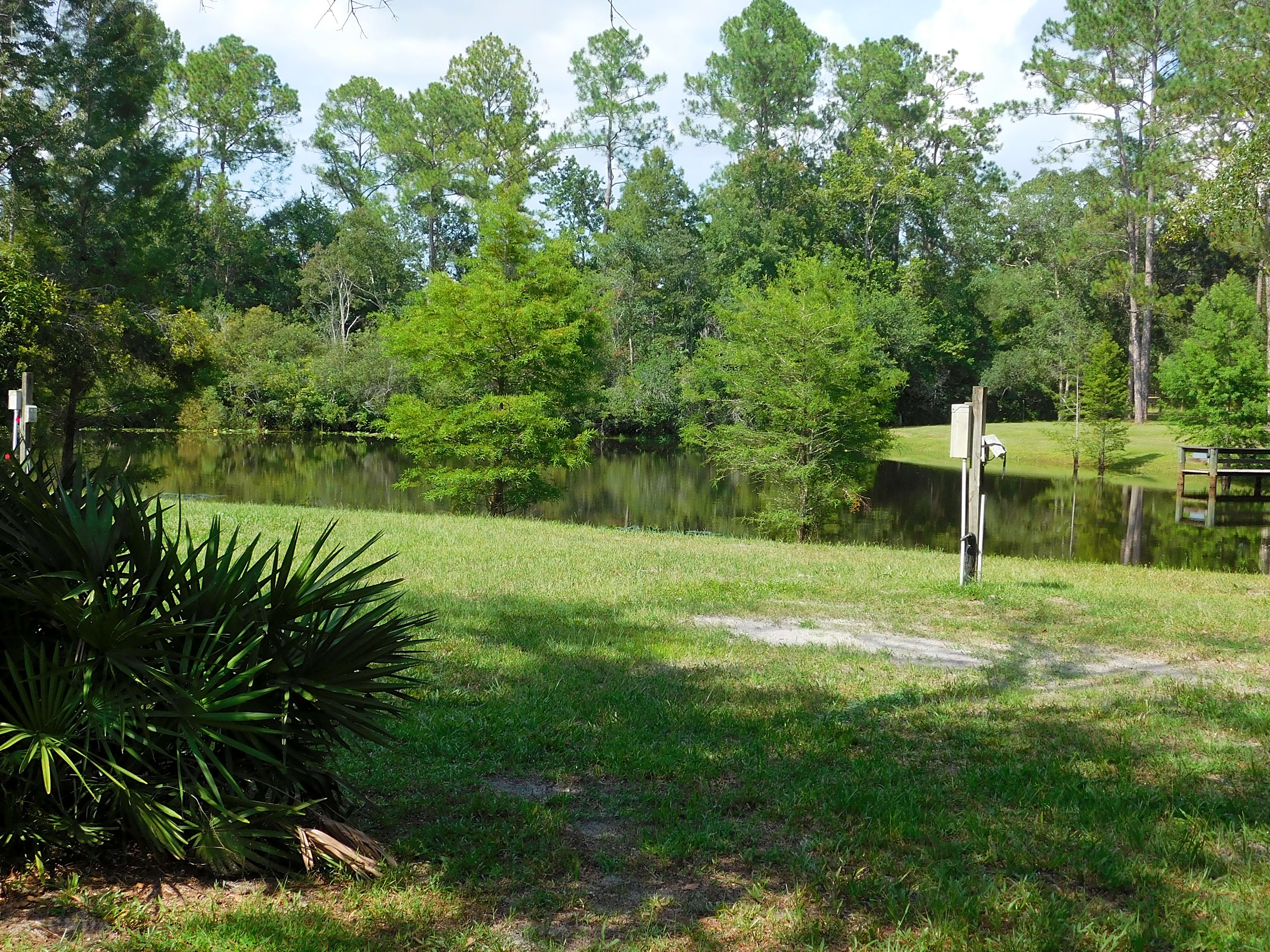 Escape to the Enchanting Suwannee River: A Hideaway for Adventure and Relaxation