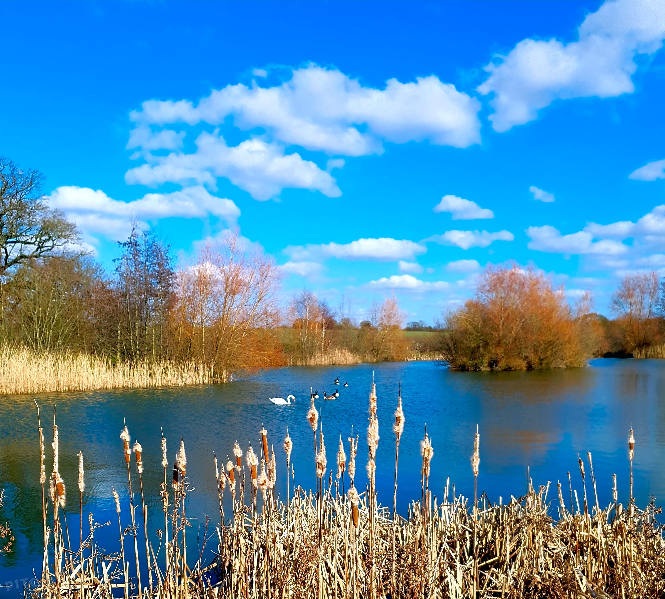 Dairymeade Farm Glamping, Dunmow, Essex Updated 2023 Prices, 43 OFF