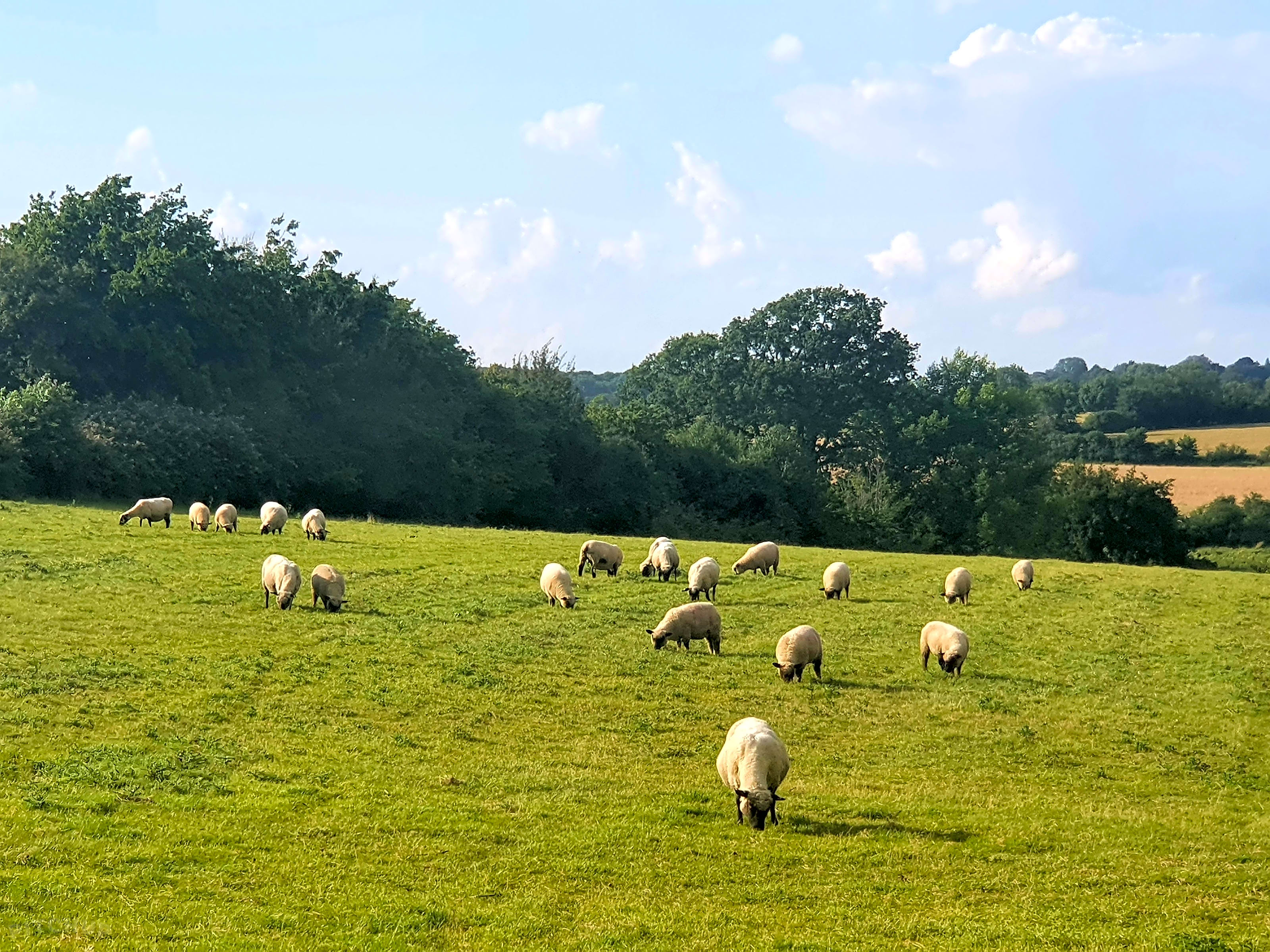 Dairymeade Farm Glamping, Dunmow, Essex Updated 2023 Prices, 43 OFF