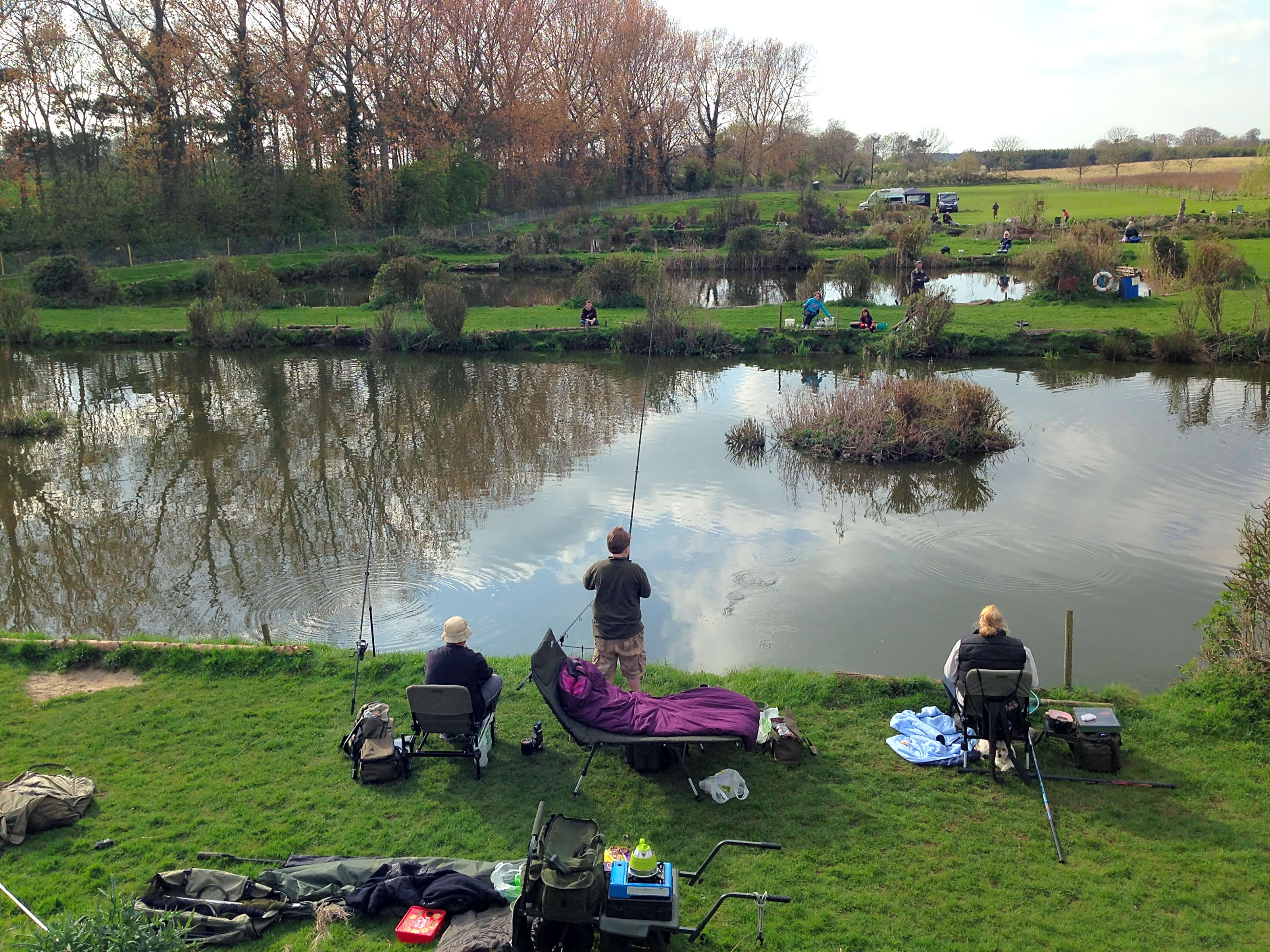 Field clearance farm fisheries