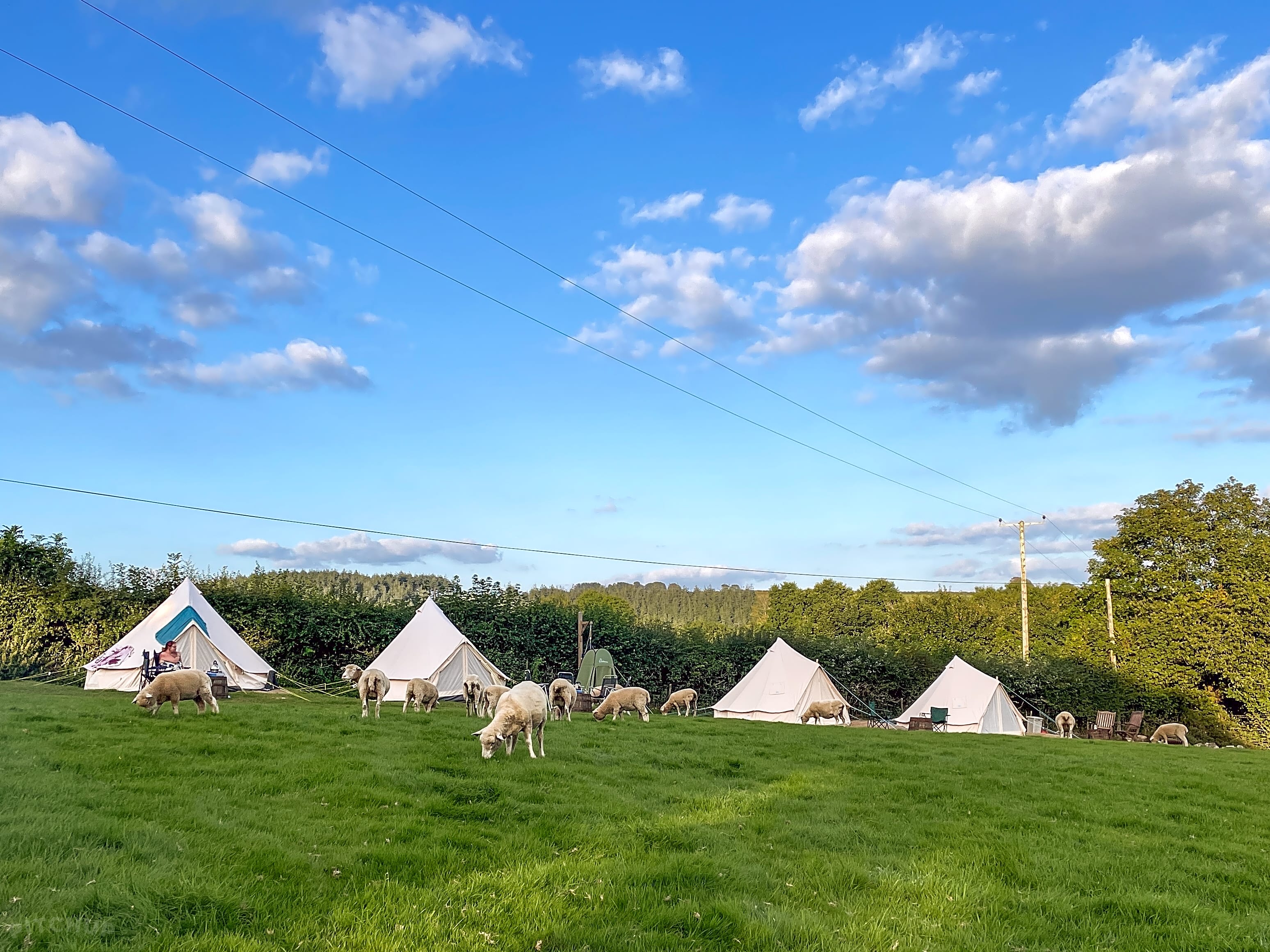 Blackwater Farm Liskeard Cornwall Pitchup