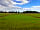Black Barn Farm: Pitch area with electric hook-up (photo added by manager on 06/07/2021)