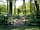 Somers Wood Caravan Park: Wooded pathway to dog walk/public right of way