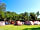 Camping La Pineda De Salou: Camping pitches