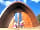West Wales Camping Pods: Whippet's sunbathing outside a pod