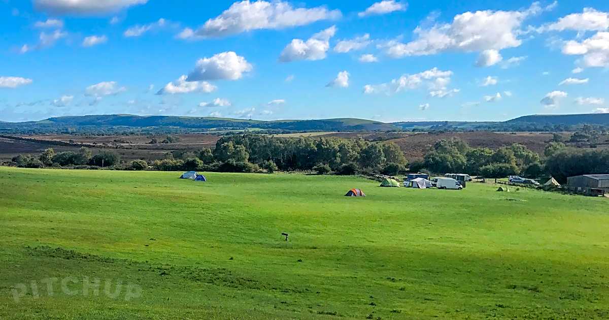 Knoll Farm Campsite, Wareham